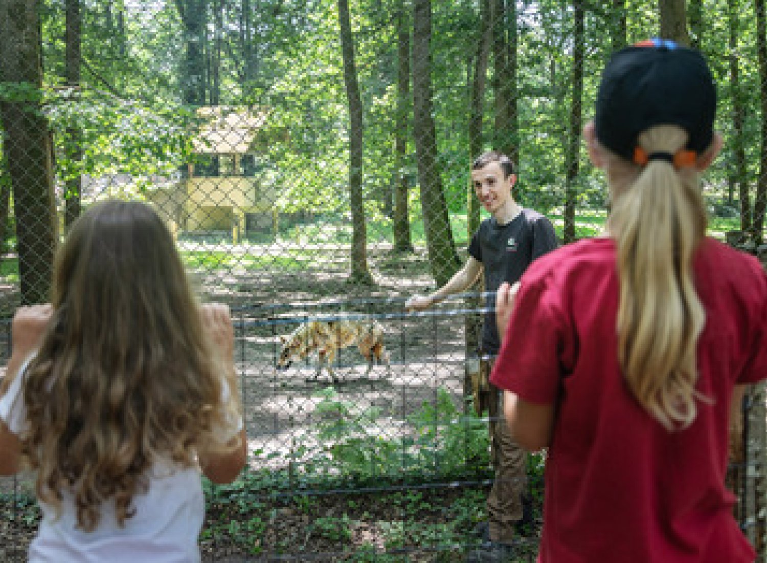 Au zoo de Pescheray, un soigneur montre un loup blanc à des enfants qui visitent le zoo..